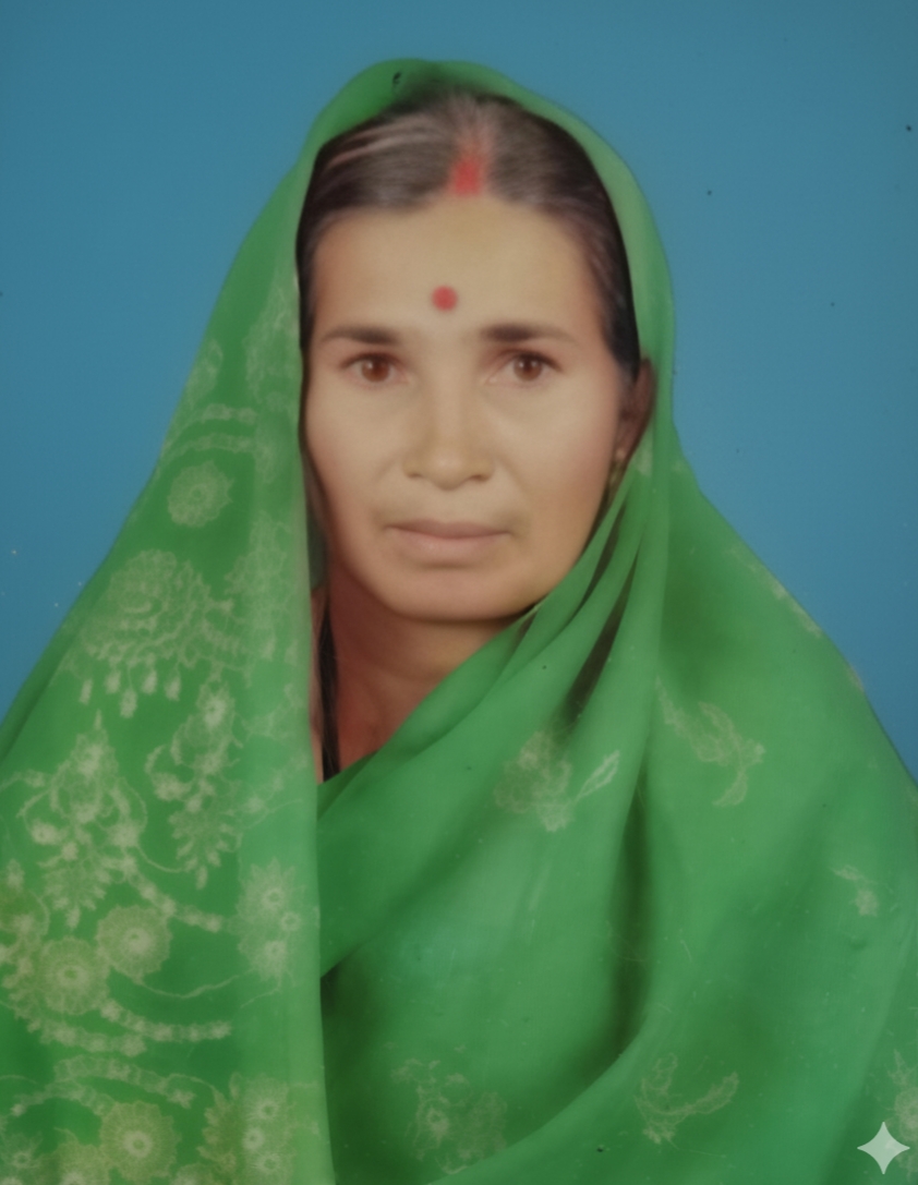 सदस्य